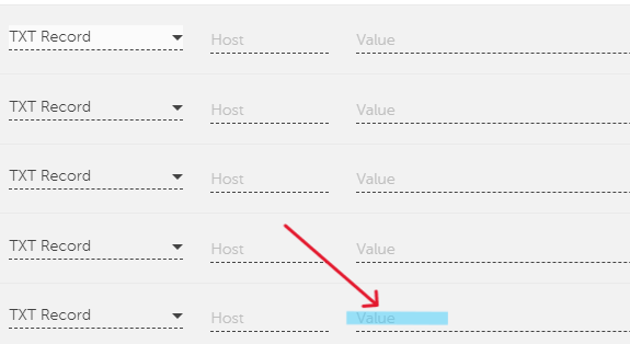 DKIM Value Paste Step - Paste the DKIM key into the Value field